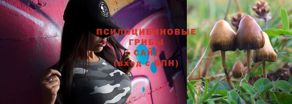 Альфа ПВП Вязники