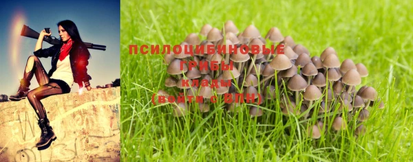 Альфа ПВП Вязники